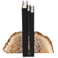 Petrified Wood Bookends, Set of 2