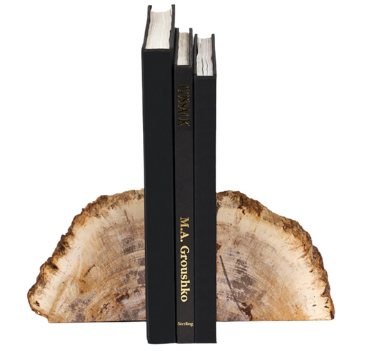 Petrified Wood Bookends, Set of 2