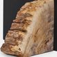 Petrified Wood Bookends, Set of 2