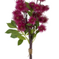 19" SPIKEY BALL BUNDLE FUSCHIA