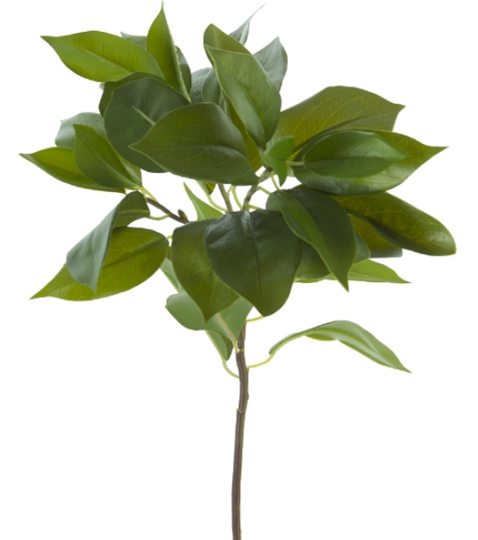 24" LAUREL LEAVES SPRAY GREEN