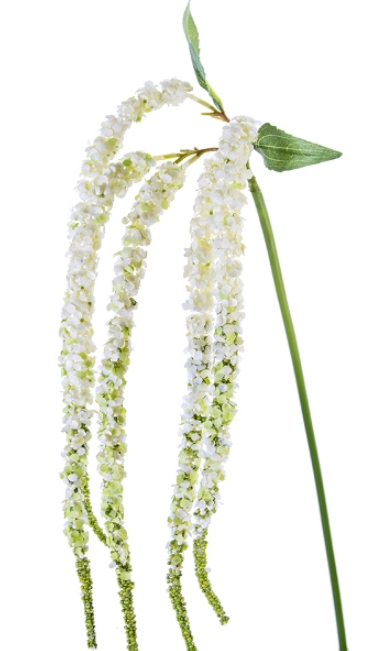 38" AMARANTHUS SPRAY CREAM