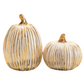 White and Gold Striped Pumpkins, Set of 2