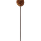 31" Allium Stem, Brown