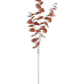 35.5" Brown Orange Eucalyptus Stem