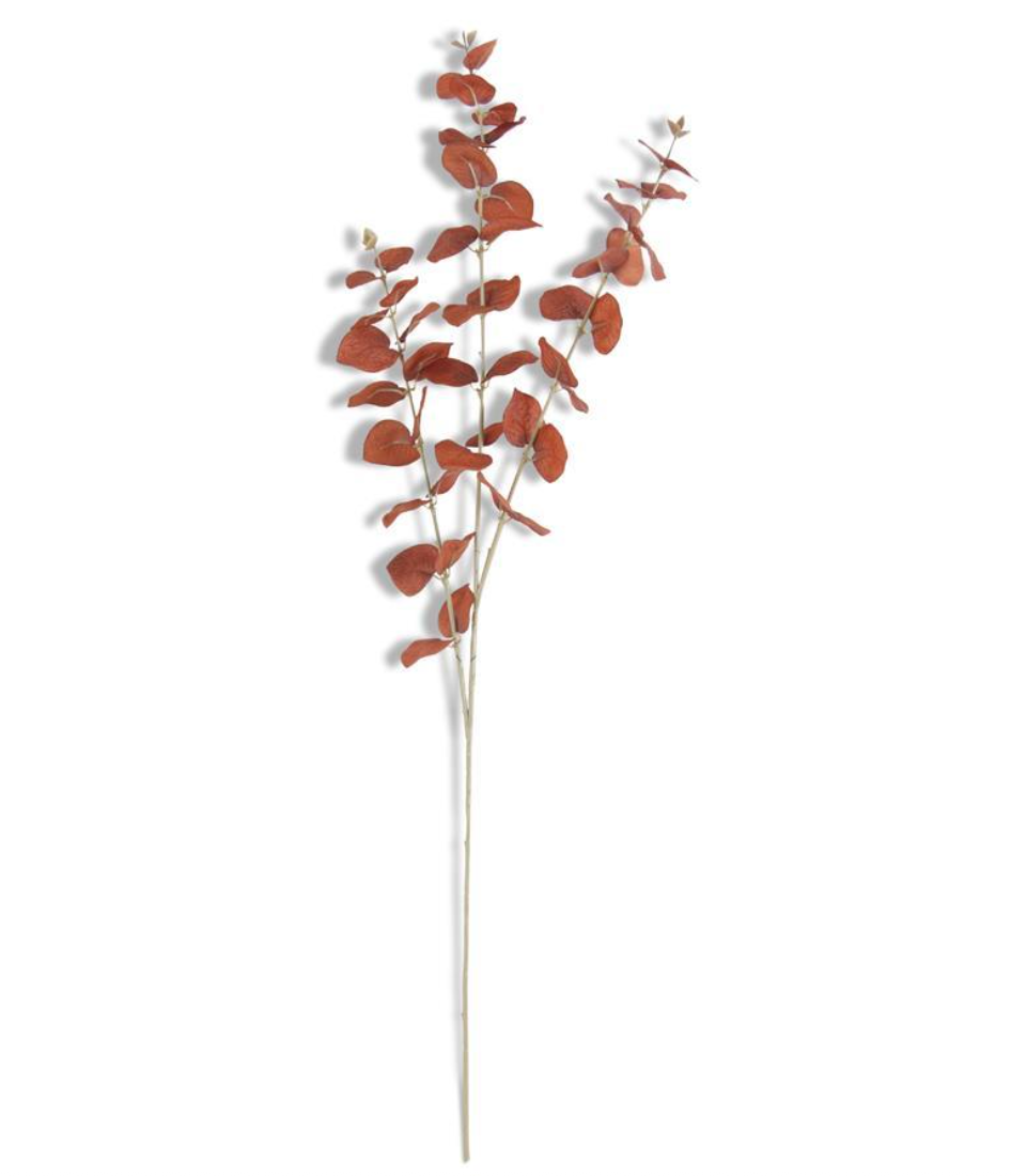35.5" Brown Orange Eucalyptus Stem