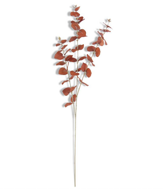 35.5" Brown Orange Eucalyptus Stem