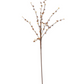 35" Dark Orange Bittersweet Stem