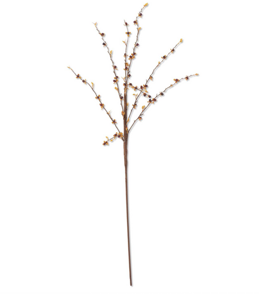 35" Dark Orange Bittersweet Stem