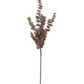 36" Brown Eucalyptus Stem