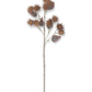 25" Light Brown Thistle Stem
