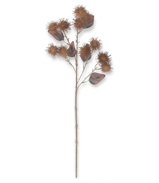 25" Light Brown Thistle Stem