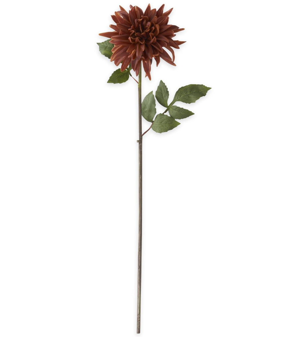 28.25" Light Brown Real Touch Dahlia Stem