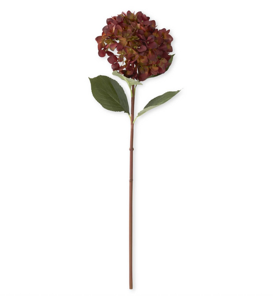 29" Brown Burgundy w/ Green Hydrangea