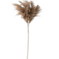 40" Brown Pampas Grass Spray