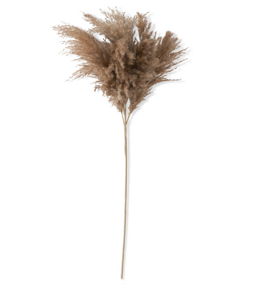 40" Brown Pampas Grass Spray