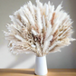 Dried Pampas Grass Bundle