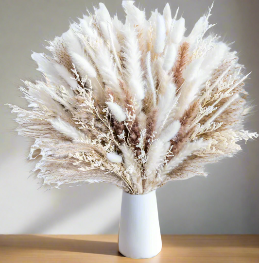 Dried Pampas Grass Bundle