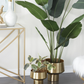 Gold Metal Tapered Planter with Base (Various Sizes)