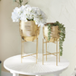Gold Brushed Dome Planter (Various Sizes)