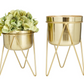 Smooth Gold Metal Planters (Various Sizes)
