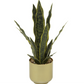 Faux Snake Plant in Gold Pot