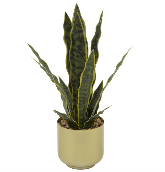Faux Snake Plant in Gold Pot