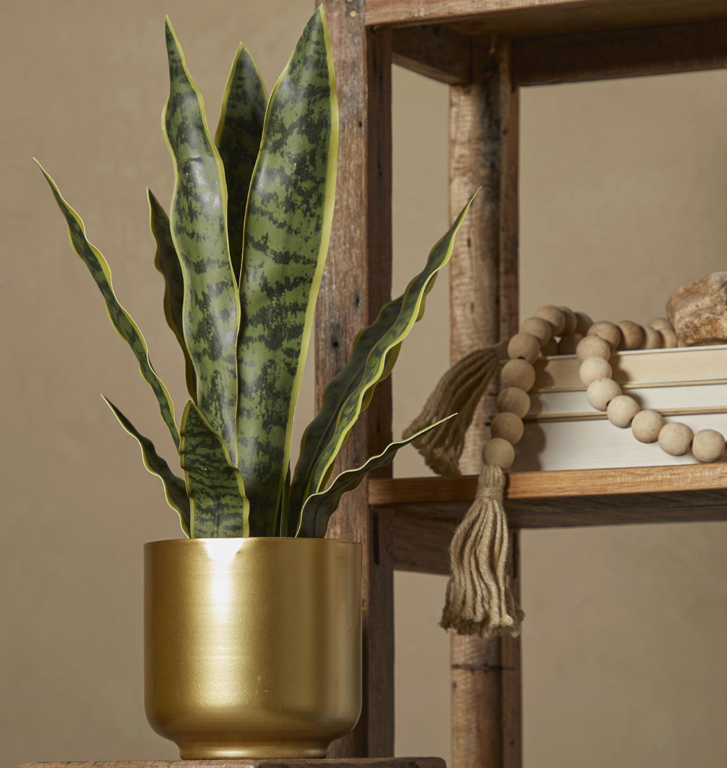 Faux Snake Plant in Gold Pot
