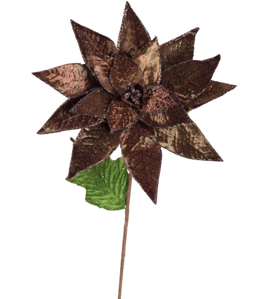 24" Chocolate Velvet Poinsettia