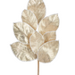 27" Champagne Glittered Magnolia Leaf Spray