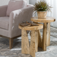Nadette Nesting Tables, Set of 2