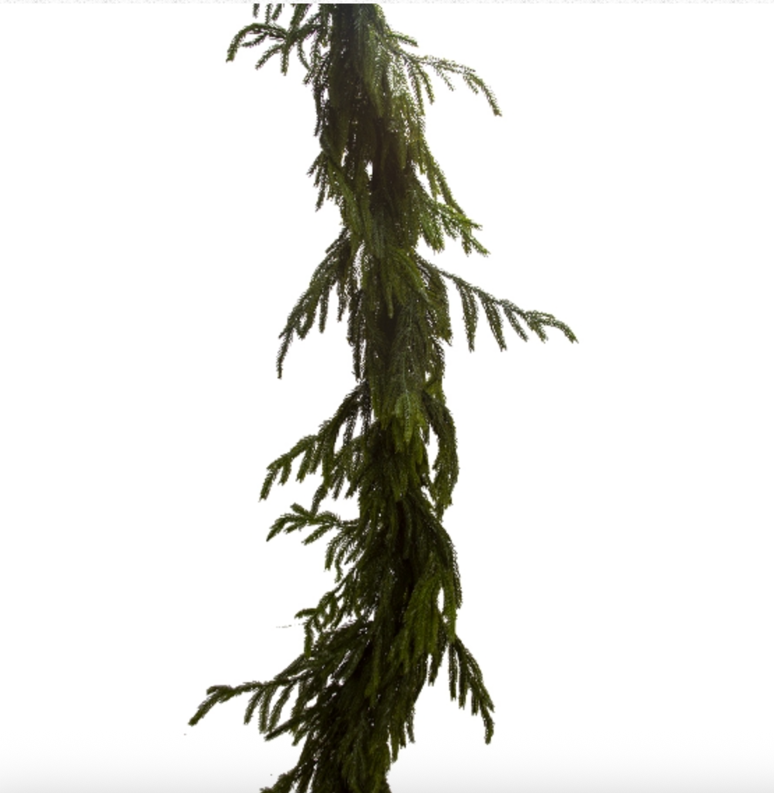 6' REAL TOUCH Lightly Iced Fir Pine Garland