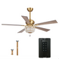 Annalise 52" Ceiling Fan with Light