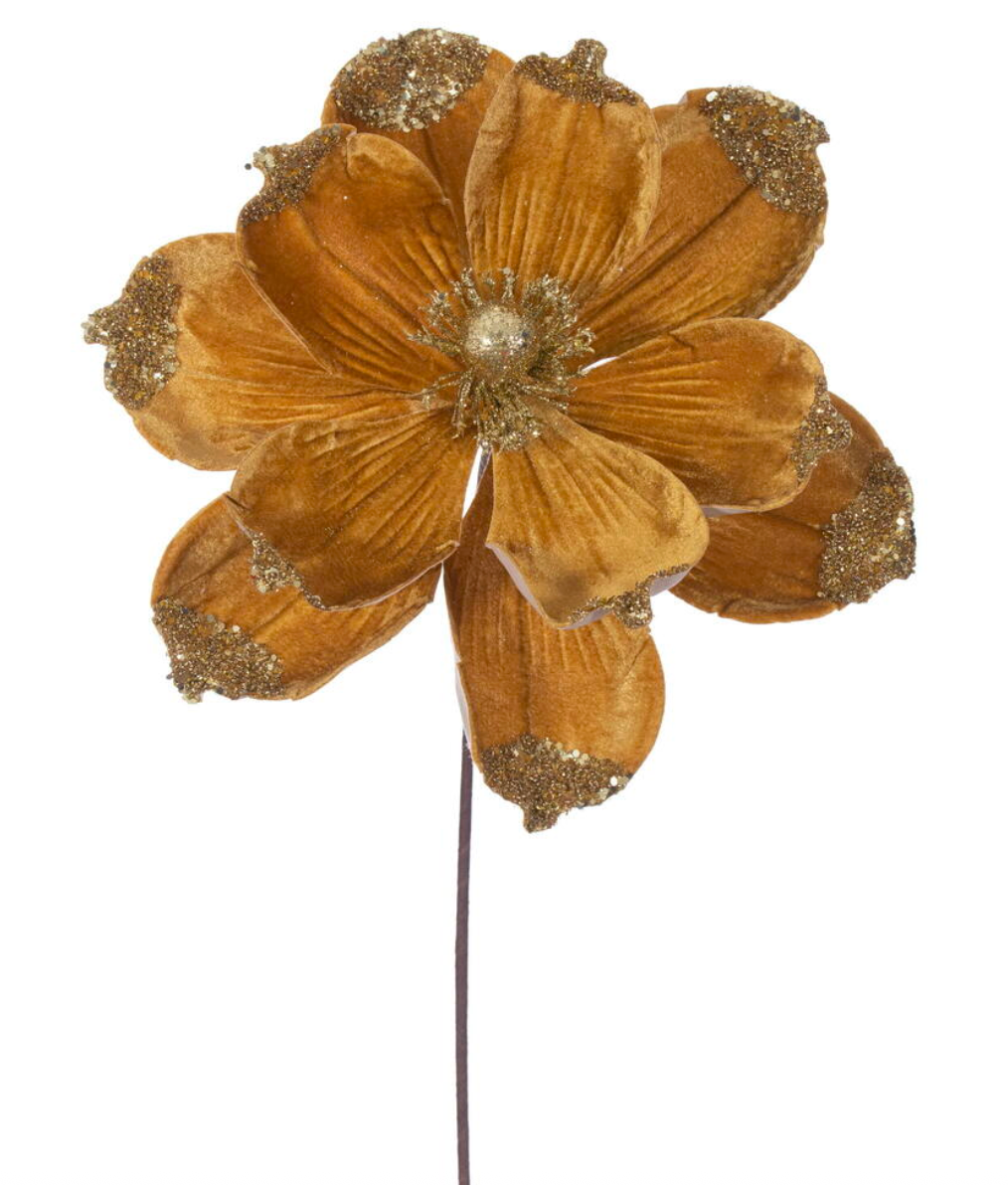 21.5" Gold Velvet Magnolia