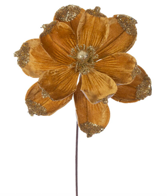 21.5" Gold Velvet Magnolia