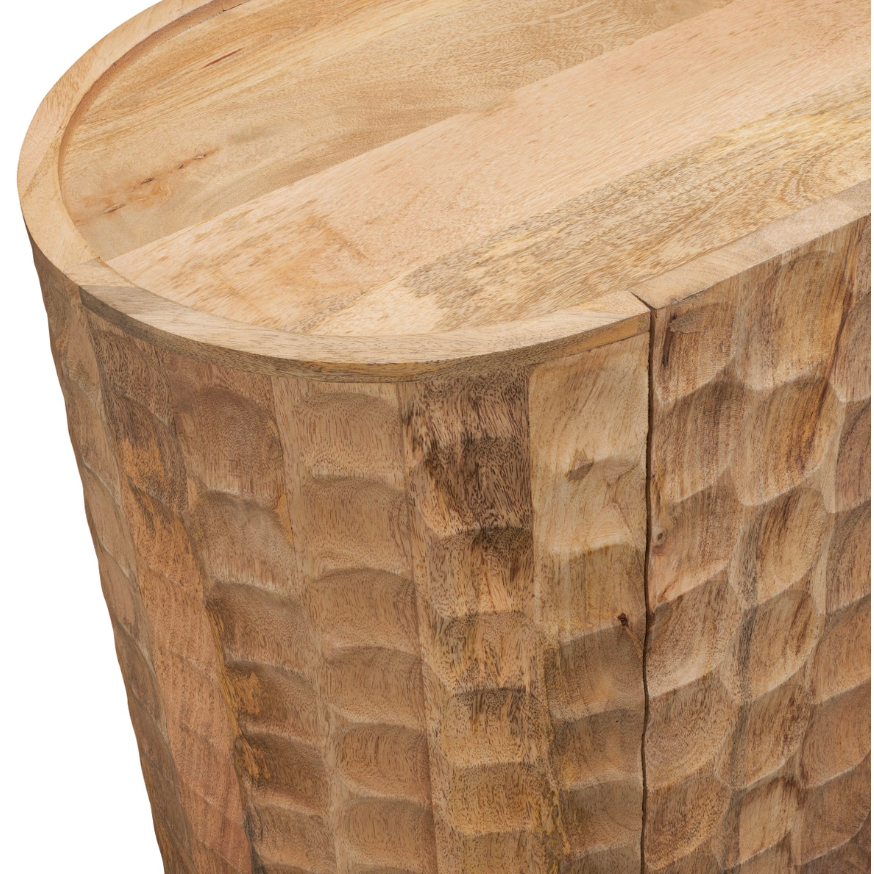 Gabby 2 Door Mango Wood Cabinet