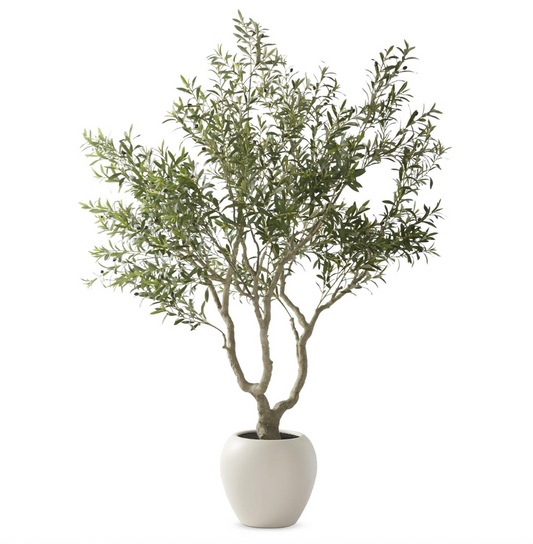 8' Olive Tree In White Pot w/ Faux Dirt