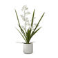 21.75" Real Touch White Orchid in White Ribbed