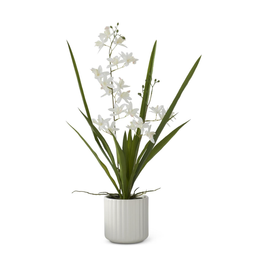 Plants & Potted Items