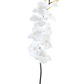 42" White Phalaenopsis Spray