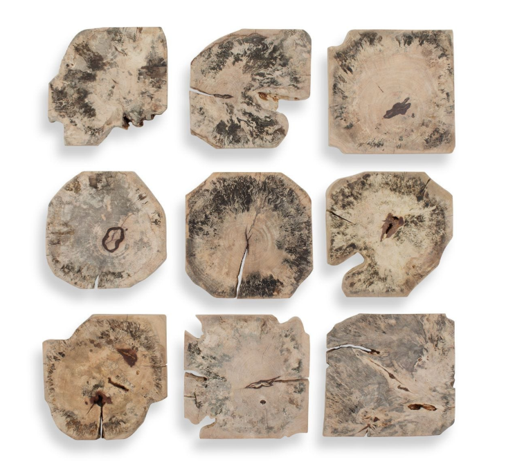 Bahati Bleached Wood Wall Decor (Set of 9)
