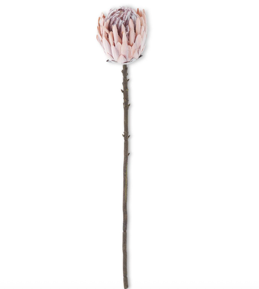 26" Flocked Pink King Protea Stem