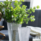 Crystal Vase