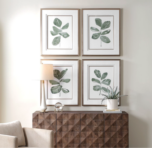 Fiddle Head Leaf Framed Prints, Set of 4