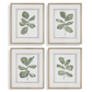 Fiddle Head Leaf Framed Prints, Set of 4