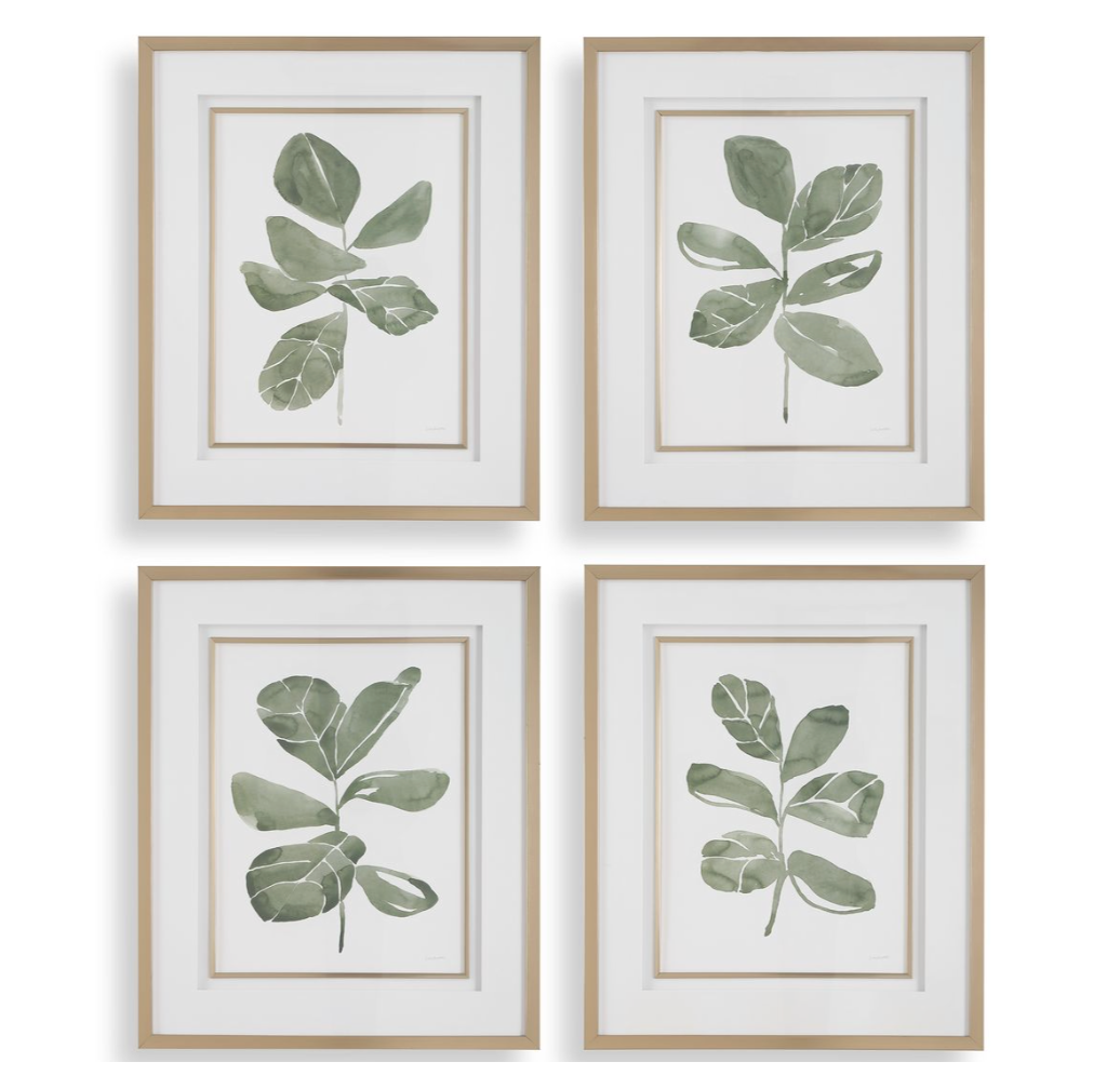 Fiddle Head Leaf Framed Prints, Set of 4