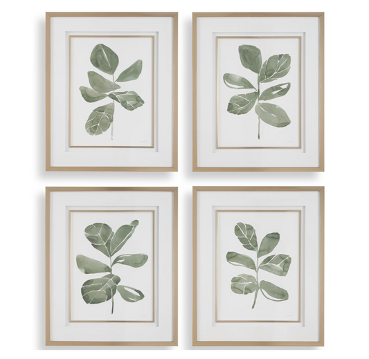 Fiddle Head Leaf Framed Prints, Set of 4