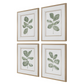 Fiddle Head Leaf Framed Prints, Set of 4