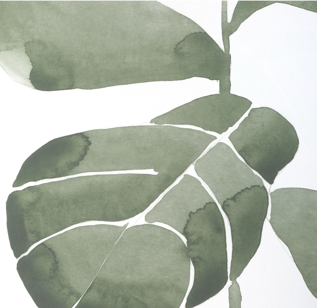 Fiddle Head Leaf Framed Prints, Set of 4