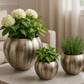 Chantham Planter (Various Sizes)